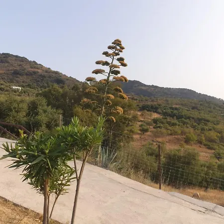 Encantadora Casa De Pueblo Para 7 Pax Con Gran Terraza Jimera de Líbar Exterior foto