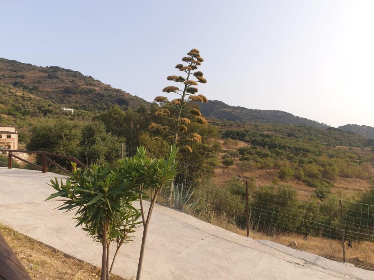 Encantadora Casa De Pueblo 7 Pax Con Gran Terraza *